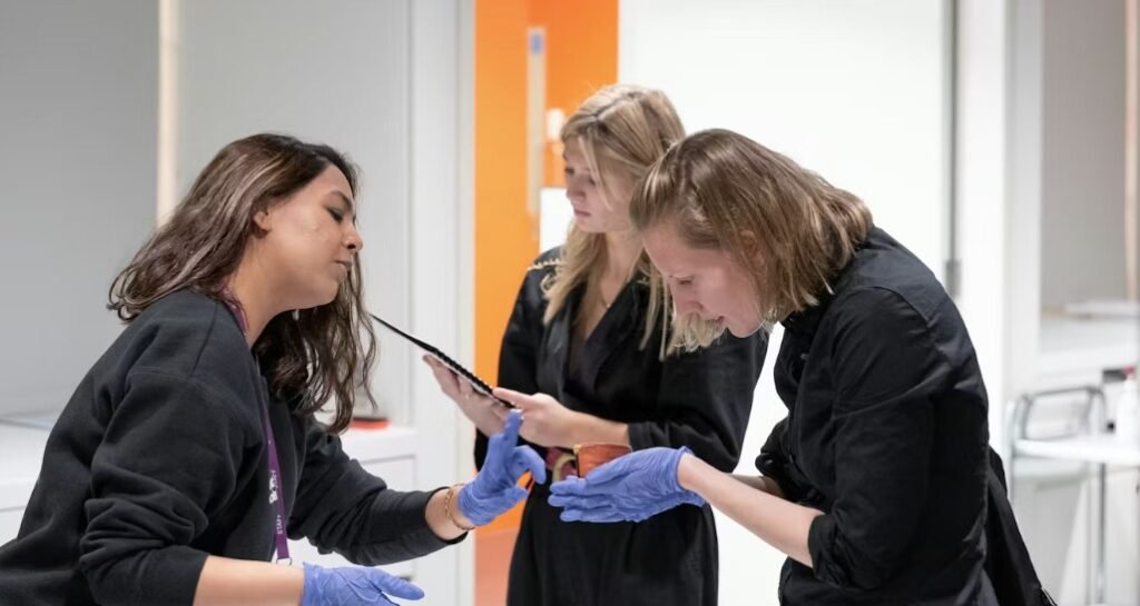 A member of staff and visitors are holding items from the collections.